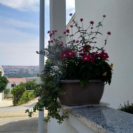 Apartment Edina Pag พาก ภายนอก รูปภาพ